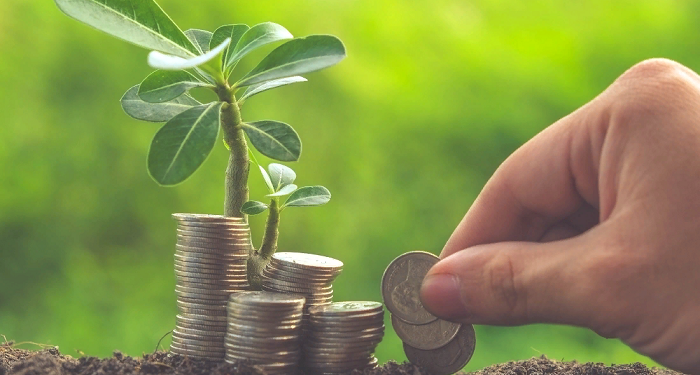 Most EU countries do not support an accelerated transition to renewable energy