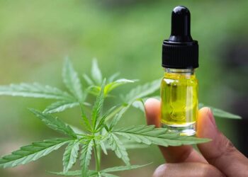 Use of CBD preparations: main advantages and features