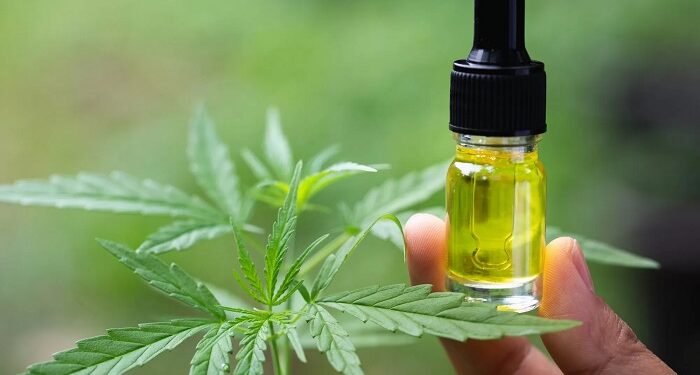 Use of CBD preparations: main advantages and features